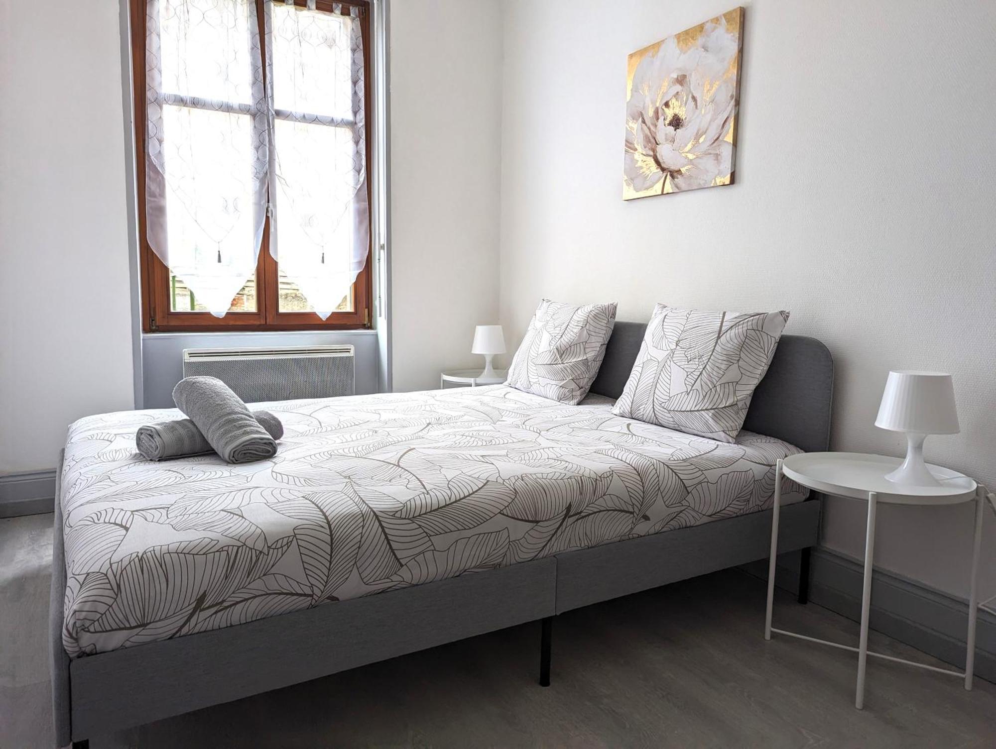 Le Mirage - Appartement 2 Chambres, Salon, Cuisine Equipee, Parking Et Wifi Gratuit ミュルーズ エクステリア 写真