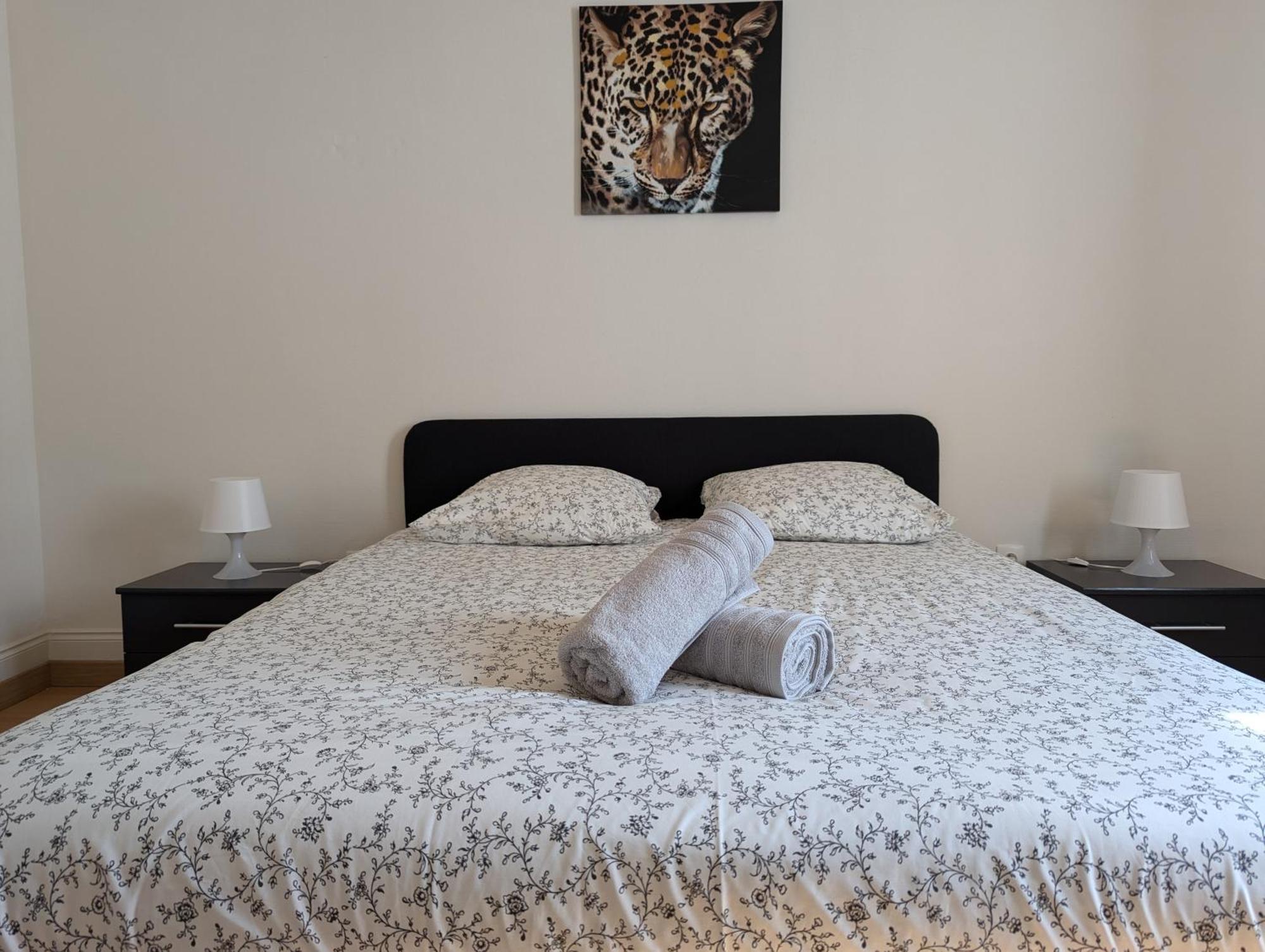 Le Mirage - Appartement 2 Chambres, Salon, Cuisine Equipee, Parking Et Wifi Gratuit ミュルーズ エクステリア 写真